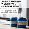 image:imageTHERABAND Ankle Weights Leg Weight Wrist Cuff 25 lb 2Piece Set Blue  Adjustable comfortfit cuff weights strap on at the ankle or wrist for walking and cardioLevel 3  25lb  Blue