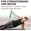 image:imageTHERABAND CLX Resistance Band with Loops 5 Feet Silver Super Heavy NonLatex Elastic Band for Exercise Mobility amp Rehab Stretching Home Workouts ColorCoded for Easy Resistance LevelsLevel 3  Heavy  Green