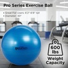 image:imageTHERABAND Exercise and Stability Ball for Improved Posture Balance Core Fitness Coordination and RehabBlue  30 Inches