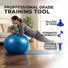 image:imageTHERABAND Exercise and Stability Ball for Improved Posture Balance Core Fitness Coordination and RehabBlue  30 Inches