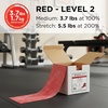 image:imageTHERABAND Resistance Band Gold Max 25Yard Roll LatexFree Elastic Band for Exercise Physical Therapy Yoga Pilates Stretching Home Workouts ColorCoded for Easy Resistance LevelsRed  Medium