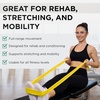 image:imageTHERABAND Resistance Bands Set Elastic Bands for Exercise amp Physical Therapy Strength Training for Upper amp Lower Body FitnessLatex