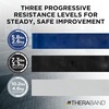 image:imageTHERABAND Resistance Bands Set Elastic Bands for Exercise amp Physical Therapy Strength Training for Upper amp Lower Body FitnessNonLatex