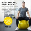 image:imageTHERABAND Standard Exercise BallYellow  18 in