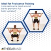 image:imageTheraBand Resistance Band Extremity Strap Attachments for Resistance Bands and Tubing Pair of Extremity Straps with D Ring Connector for Exercises Pilates Yoga Home Workouts without WeightsW D Ring Connectors