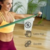 image:imageTheraband Patterson Medical Thera  Band Con Porta RotoloYellow